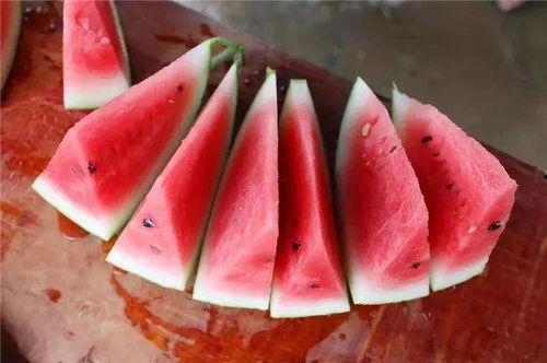 吃瓜视频表现,网络舆论场中的“瓜农”与“瓜田”