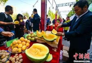 西宁最新吃瓜事件视频,视频揭秘惊人真相