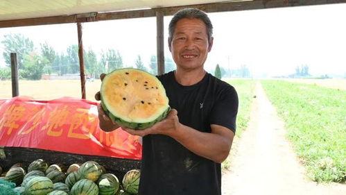 西宁最新吃瓜事件视频,视频揭秘惊人真相