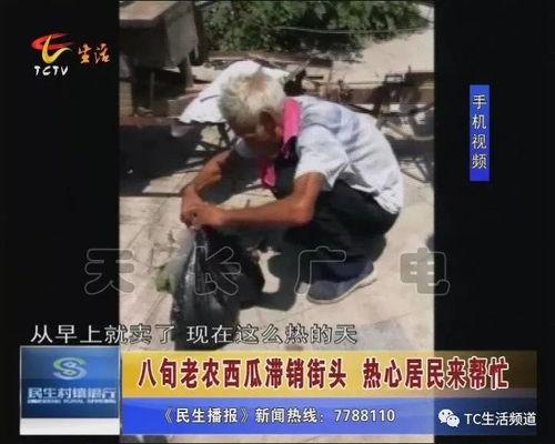 吃瓜群众王老八打架视频,王老八街头冲突视频引发热议