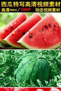 吃瓜吐沫的视频素材,揭秘网络视频素材背后的趣味与争议