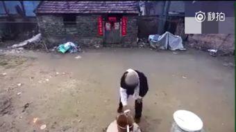 东北老人吃老瓜视频,传承美味，品味乡愁