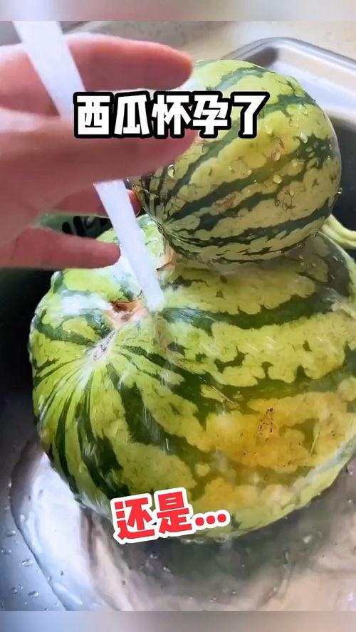 吃瓜搞怪配音视频素材大全,吃瓜搞怪素材大盘点