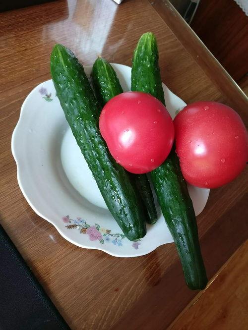 太阳瓜能烤着吃吗视频,探索美味烤瓜之旅