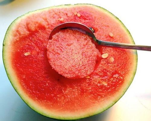 太阳瓜能烤着吃吗视频,探索美味烤瓜之旅