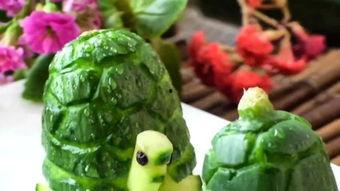 吃瓜乌龟视频大全,趣味横生的萌宠日常大盘点