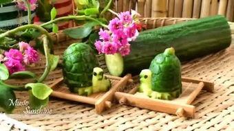 吃瓜乌龟视频大全,趣味横生的萌宠日常大盘点