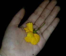 农民免费吃瓜视频大全,农民共享丰收喜悦视频大盘点