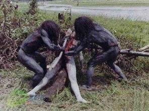 吃瓜传播恐怖视频,揭秘网络恶势力背后的惊人真相