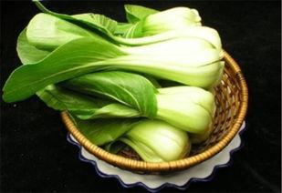 小透明吃瓜菜菜视频,揭秘娱乐圈幕后故事