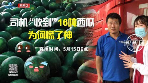 抢瓜吃的视频在线观看,抢瓜视频带你领略全民狂欢