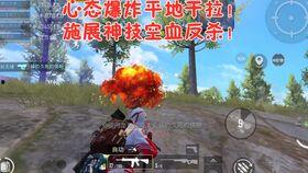 吃鸡送瓜的视频,欢乐无限，畅享夏日清凉盛宴