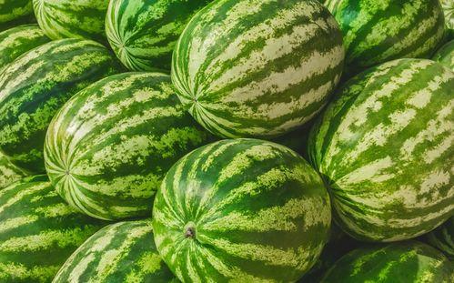 吃瓜视频在哪里找素材啊,揭秘吃瓜视频素材获取秘籍