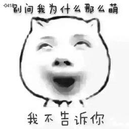 吃瓜娃子视频大全,趣味横生的欢乐时光回顾