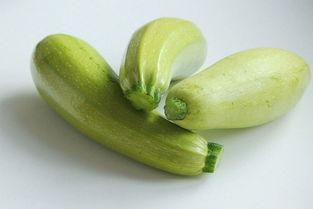 孩子吃茄瓜视频教程大全,轻松学做美味家常菜