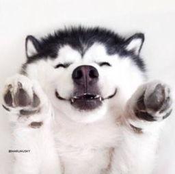 爆笑吃瓜视频合集,让你笑到肚子疼