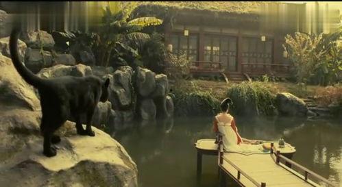 美人在河边吃瓜视频大全,盘点那些令人陶醉的河边吃瓜瞬间