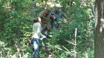 林区大雷吃瓜视频,揭秘神秘林区生活趣事