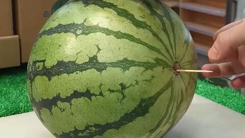 山东潍坊跳舞吃瓜视频,夏日狂欢氛围浓