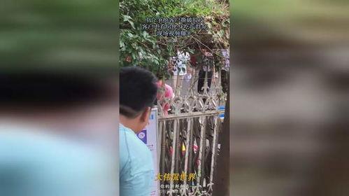 聚会吃瓜现场视频大全集,聚会吃瓜狂欢瞬间大盘点