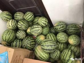 网上很火的吃瓜视频大全,揭秘娱乐圈幕后真相