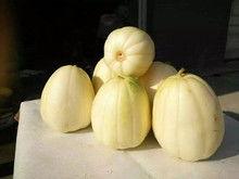 吃果瓜的视频和图片,探寻美味果瓜的视觉盛宴