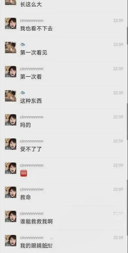 吃瓜甜美大学生视频在线播放,揭秘吃瓜甜美大学生在线直播幕后故事