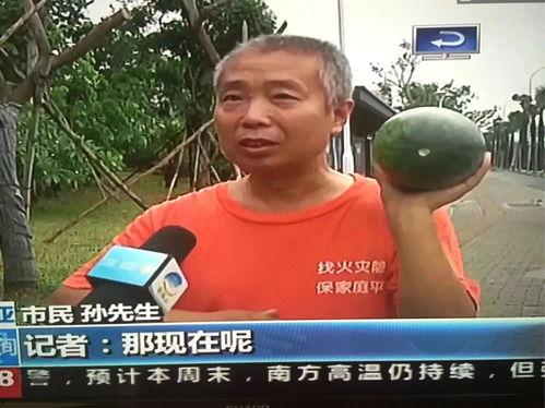 天水最新吃瓜事件新闻视频,揭秘网络热议背后的真相