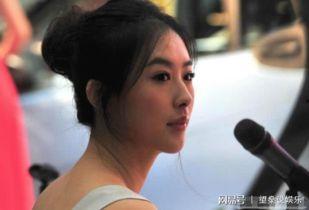 吃瓜模特事件视频大全集,视频大全集深度解析