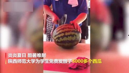 郑州学院吃瓜视频,校园生活趣味瞬间大揭秘