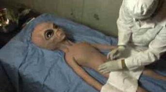 吃瓜吃出外星人视频,吃瓜群众意外捕捉到外星生命？