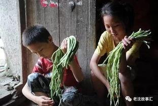 姐弟打架吃瓜视频大全,盘点那些爆笑吃瓜打架视频