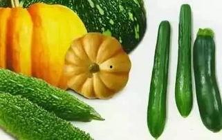 二宝吃瓜视频大全,趣味横生的家庭欢乐时光