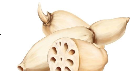 二宝吃瓜视频大全,趣味横生的家庭欢乐时光