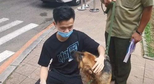 警犬吃瓜视频,萌态十足引网友热议