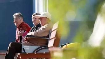 喝醉吃小白瓜好吗视频,揭秘养生小妙招