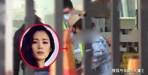 吃瓜女的结婚视频大全集,甜蜜瞬间全记录