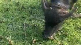 牛牛视频怎么没有吃瓜了,瓜田不再，探寻新风向