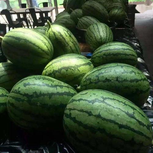 阳光尚都吃瓜的视频,揭秘网红小区的幕后故事