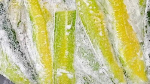 大瓜储存冬天吃会坏吗视频,避免变质，美味过冬