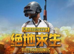 呆小瓜玩吃鸡游戏视频大全