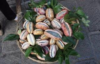 鄂东老男孩吃八月瓜视频,探寻乡村美味记忆