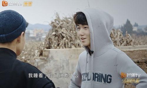 变形计吃洋瓜完整视频,洋瓜奇遇记，揭秘异国风情美食之旅