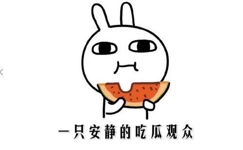 吃瓜最正确的姿势视频教程,解锁最正确姿势的吃瓜教程