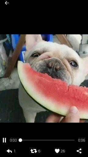 眼中的吃瓜视频,揭秘吃瓜群众背后的娱乐真相