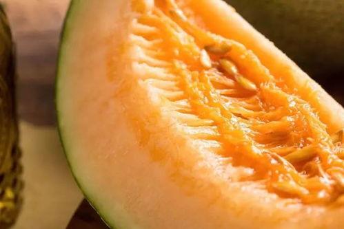 吃哈密瓜小妞视频大全免费,免费畅享甜蜜滋味